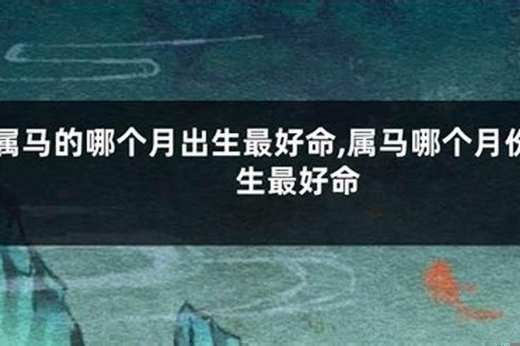 属马的几日出生有福气？属马哪个时辰最好命