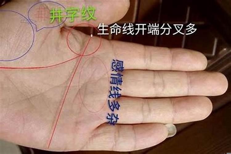 容易发横财的手相 什么样的人有横财运