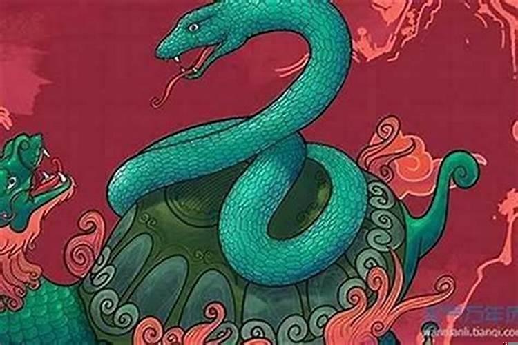 77年属蛇46岁运势2025年运势 77年属蛇的财运怎么样