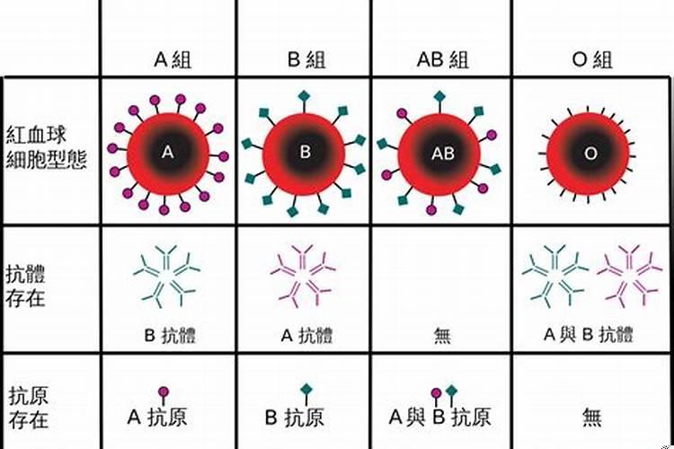 B型血天蝎座女生
