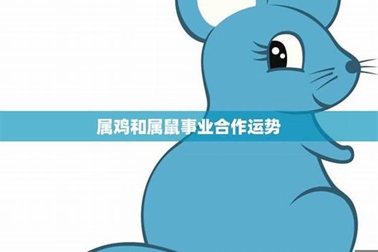 属鸡和属鼠的合作好不好
