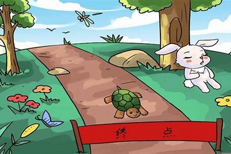 属兔人什么年龄财运最好