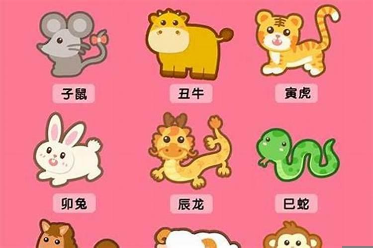 属虎今年有财运吗