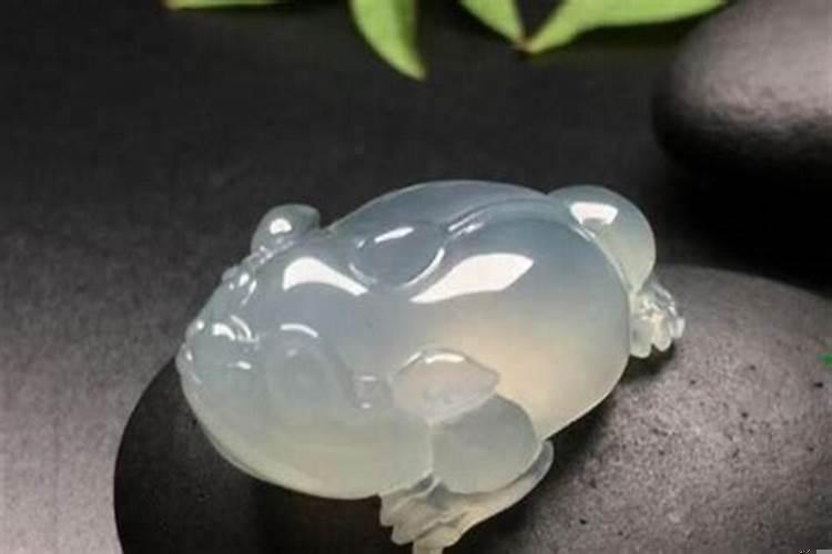 哪些属相不能摆放金蟾