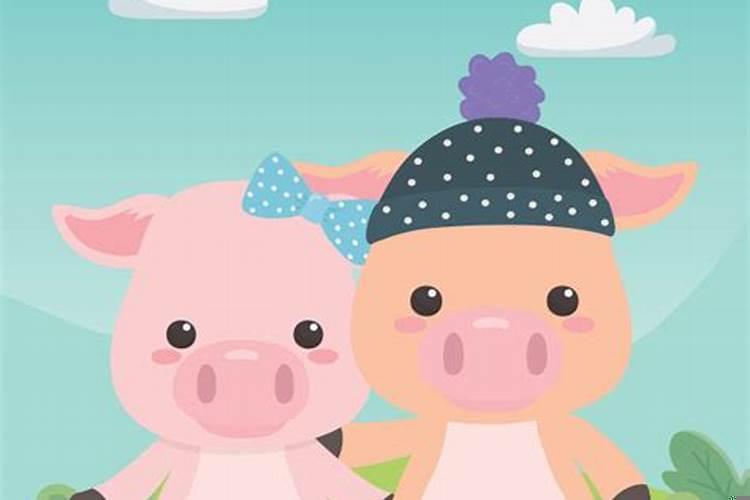 女猪和男狗的合不合