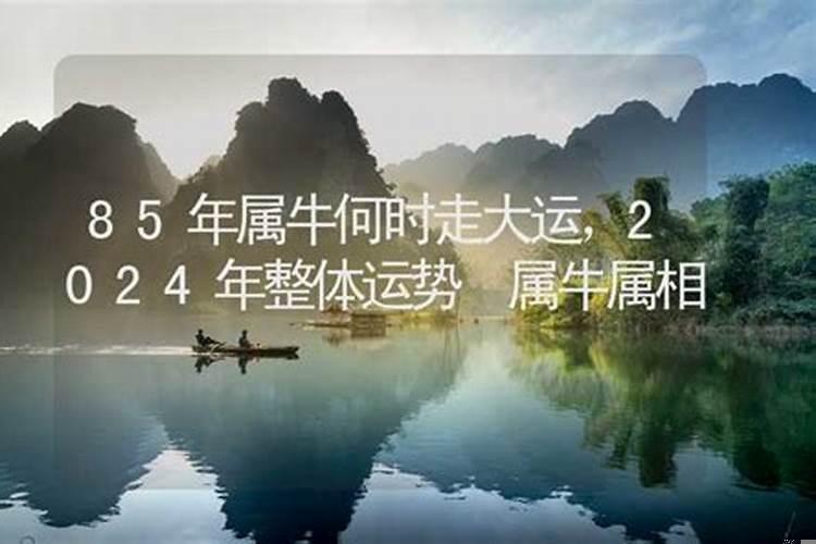 85年属牛哪年转大运