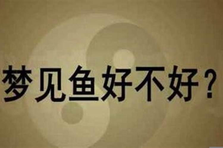 梦到到鱼是什么意思？梦见买了鱼是什么意思周公解梦m