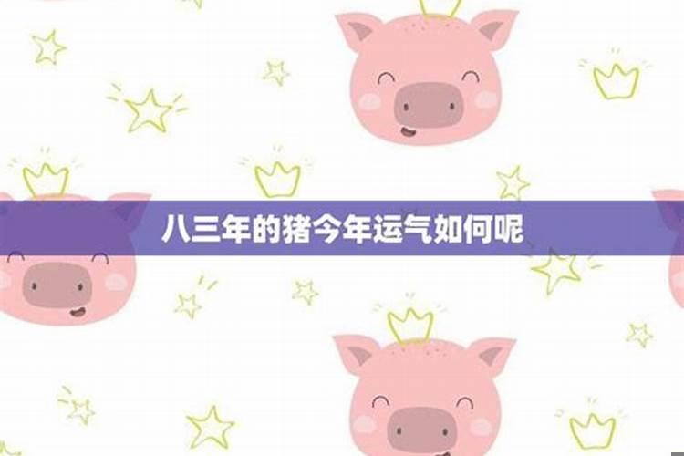 八三年猪是什么星座