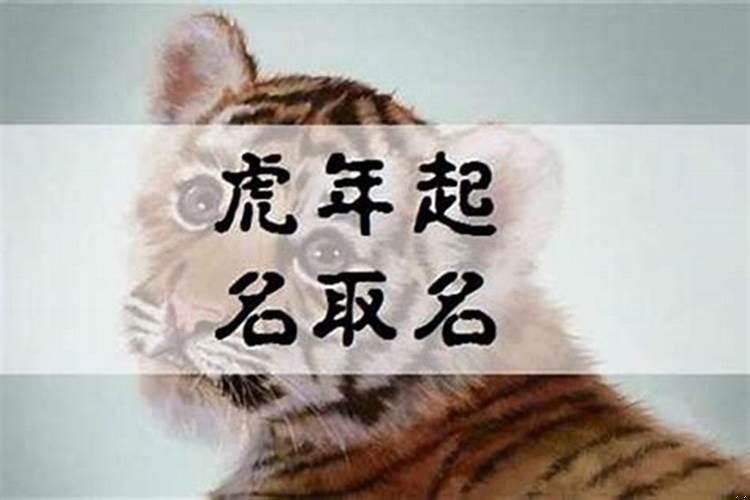 属虎的宝宝取什么名字好听