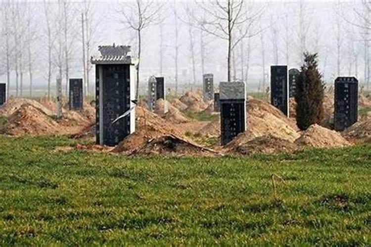 想学风水去哪里拜师好？有没有哪里学看风水的软件