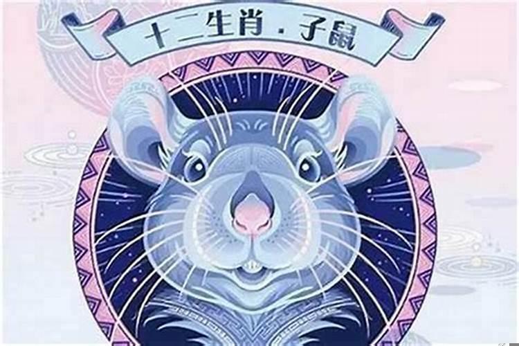 属鼠人逢兔年好不好