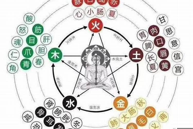 阴阳五行的生克制化