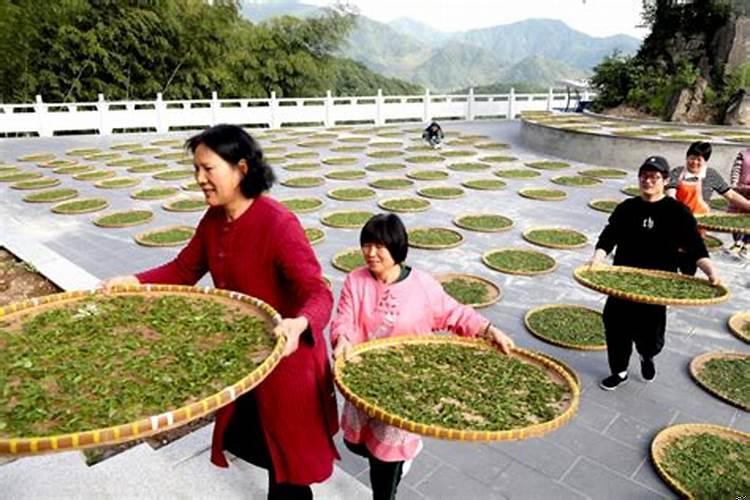 高山风水怎么定水口