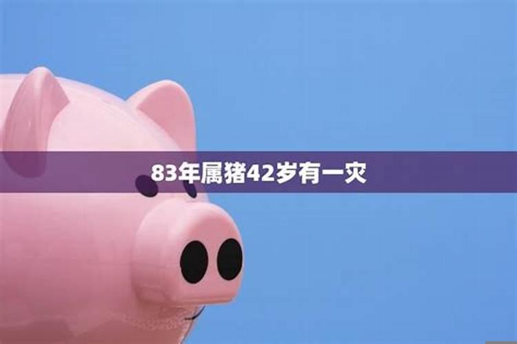 83年属猪49岁有一灾2020