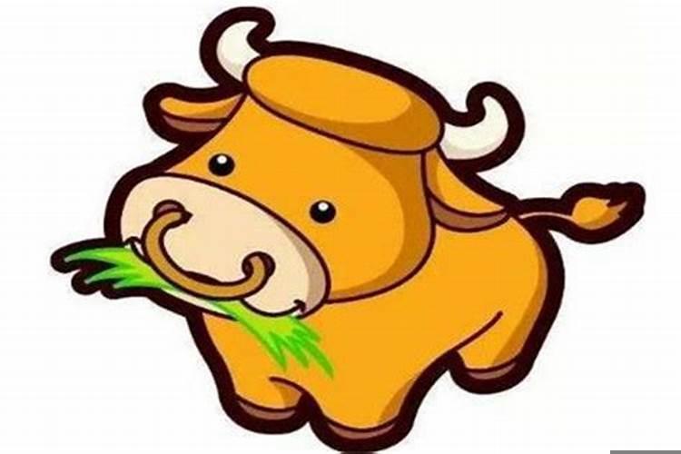 明年属牛结婚好日子