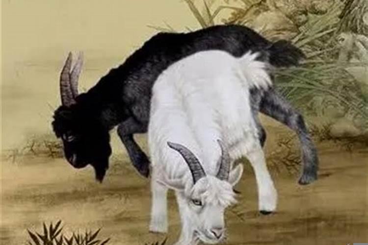 先吃苦后享福的生肖女