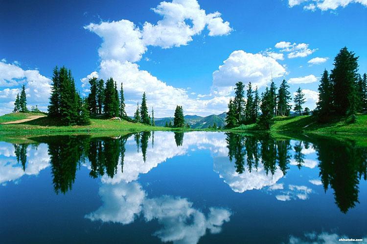 女人八字有两个偏财两个正财