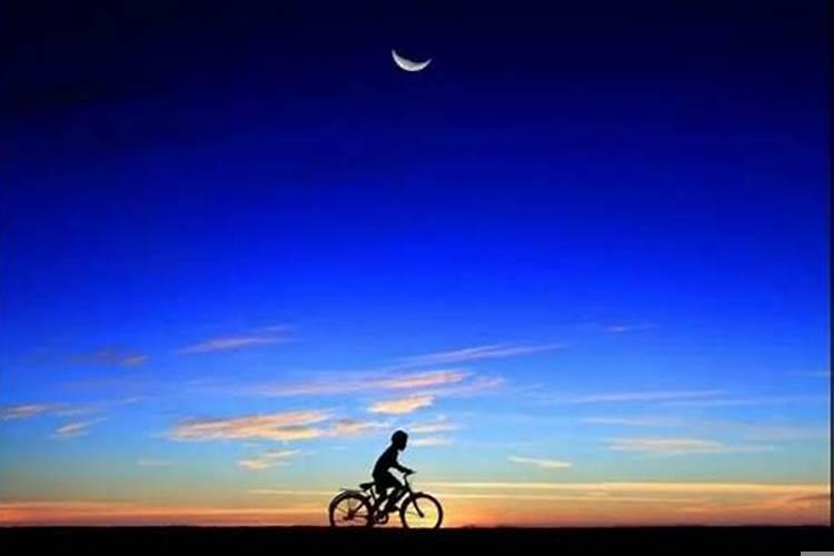 三分注定七分命运