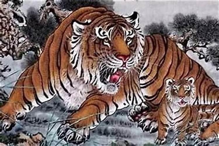 属虎一生几次婚姻