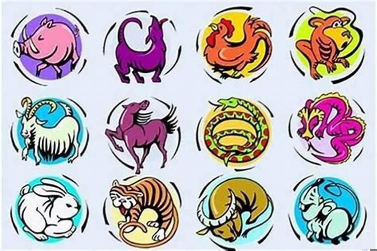 本命年容易离婚的生肖