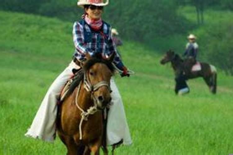 梦见自己骑着马飞奔(梦见骑着马儿跑是什么意思)