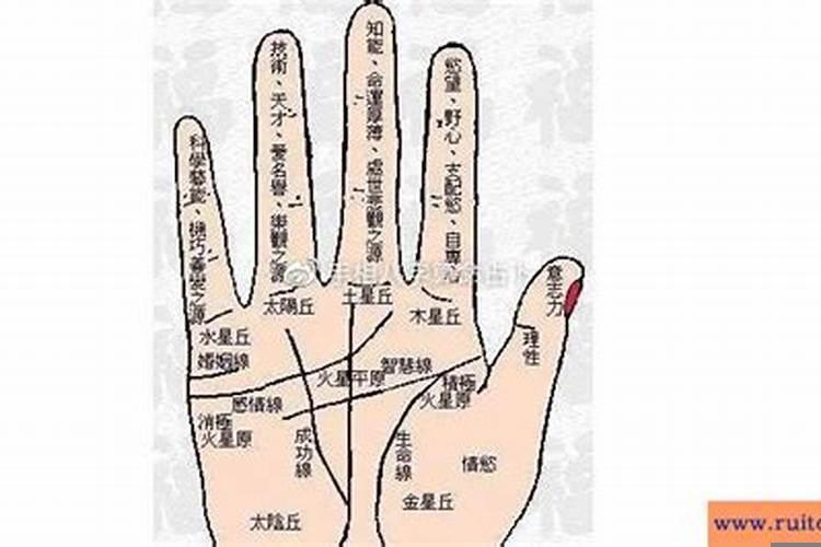 三才属性和八字有什么关系