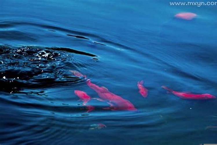 女人梦见鱼和水是什么意思？孕妇梦见大水是胎梦