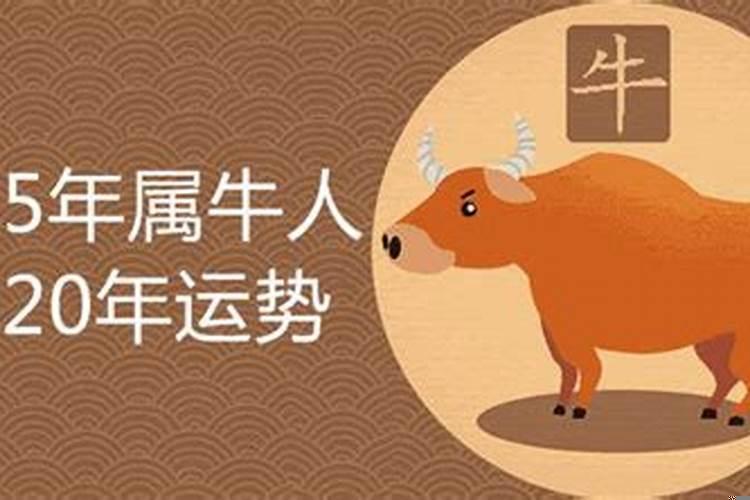 85年属牛哪年转大运