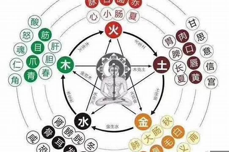 阴阳五行的生克制化
