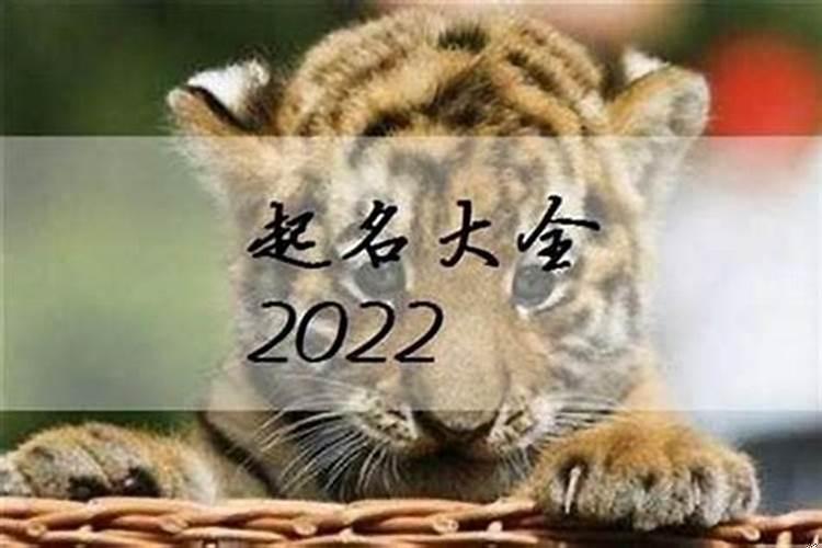 宝宝乳名大全2022洋气男女通用