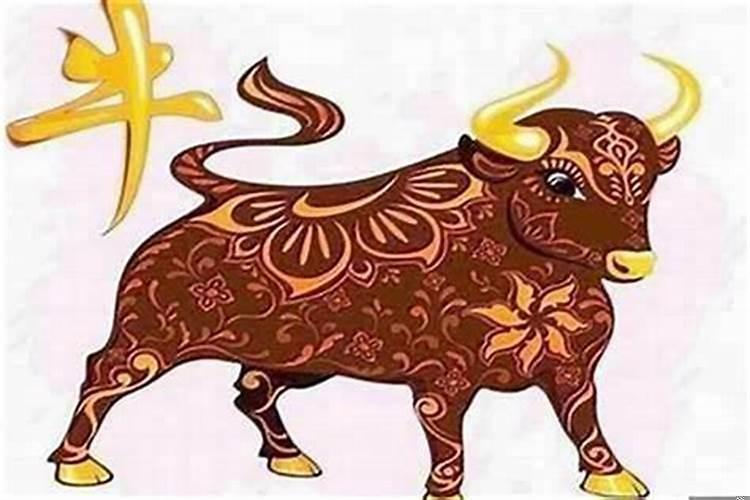 73年属牛的最大劫数婚姻