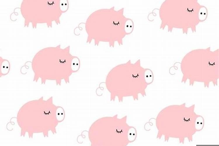 71年属猪的出轨