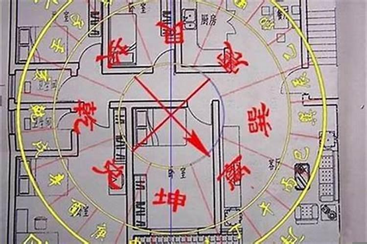 什么风水女主人伤右腿