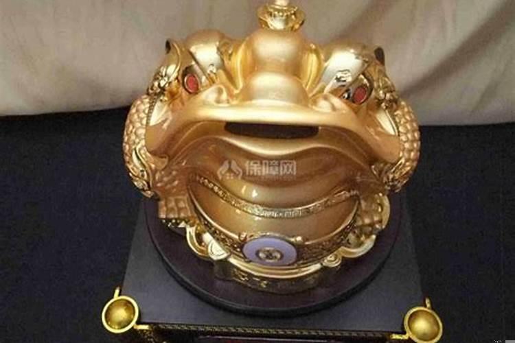 哪些属相不能摆放金蟾