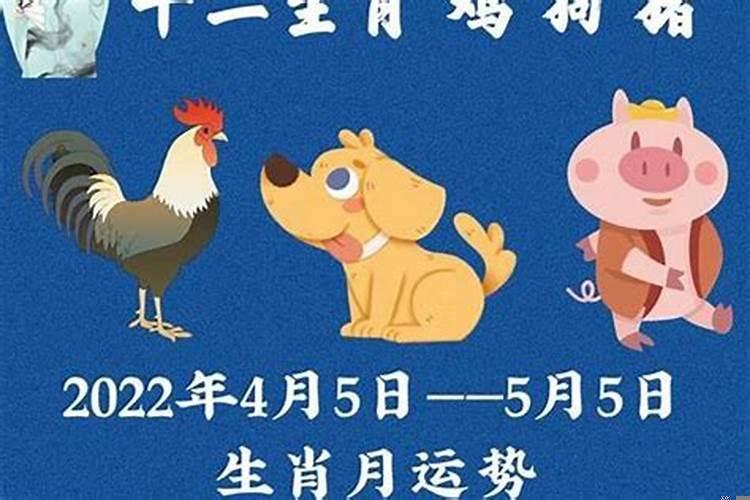 2025年属鸡人运势运程（属鸡的今年的运势如何）