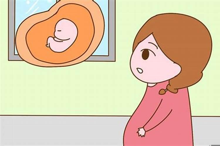 胎梦跟性别有关吗？梦见鱼吃鱼什么预兆