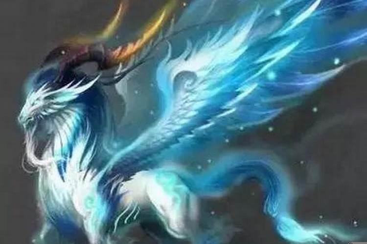 十二星座之四大神兽