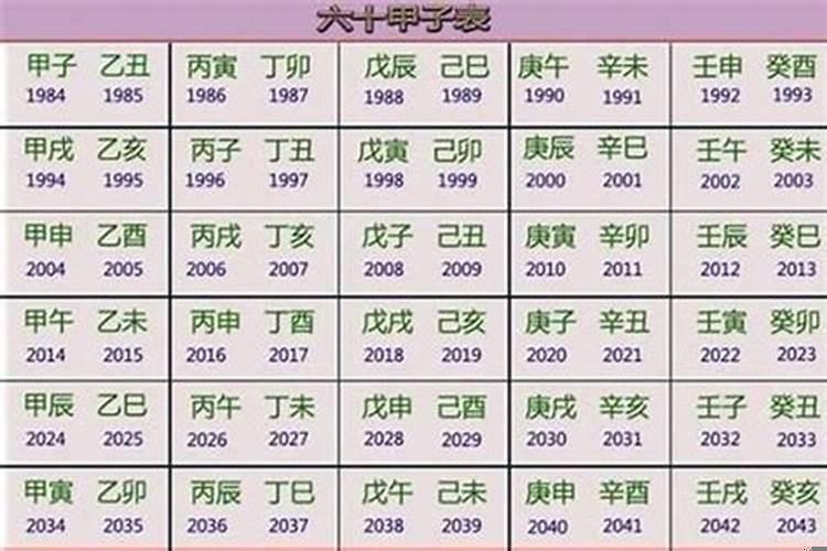 2025年招财植物(2025年什么五行旺)