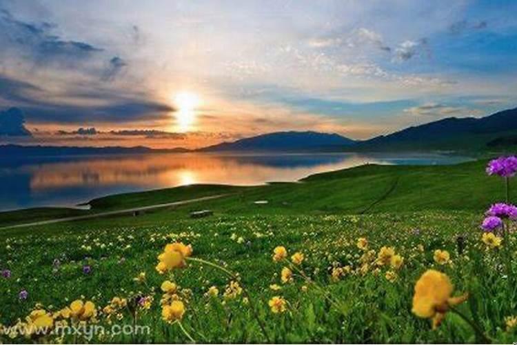 梦见夜空出现绚烂美景（做梦看见美景有什么寓意）