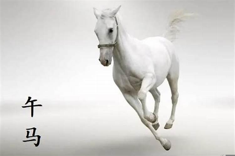 2021年属马人的全年运势详解