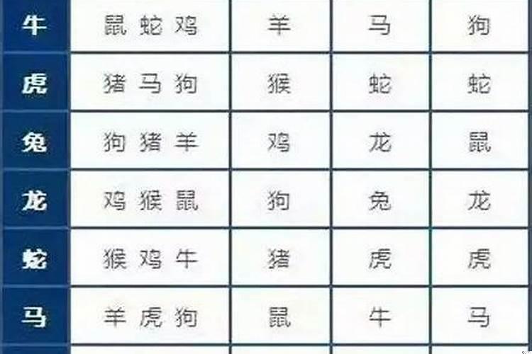 属龙男和属什么相配