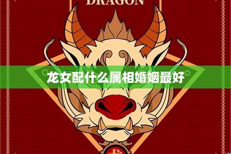 属龙女和什么属相最合适