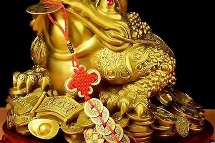 哪些属相不能摆放金蟾