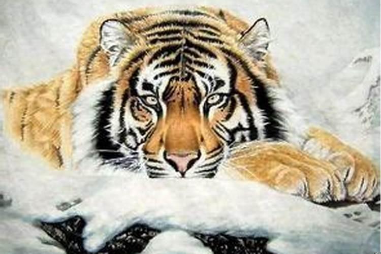 74年虎到底是木命还是大溪水命