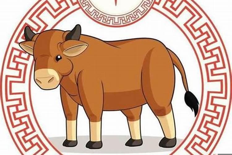 属牛和属什么最佳配偶