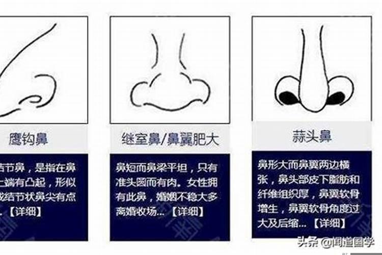 鼻梁低的女孩子面相