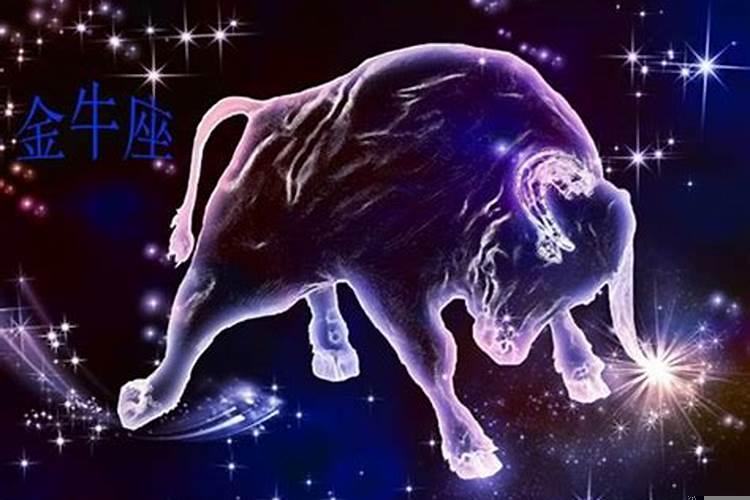 金牛座有心计吗