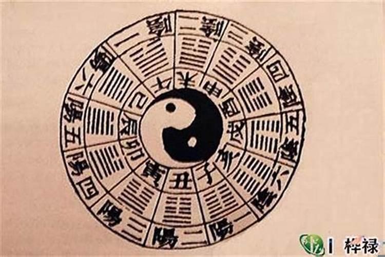 怎么判断一个人的五行属性