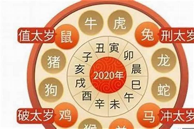 属虎的学生2020年运势