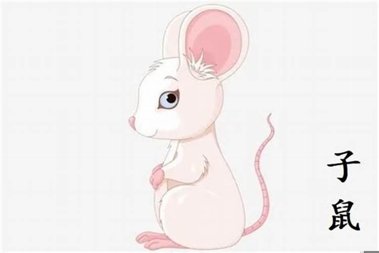 96年属鼠人2022年全年运势详解